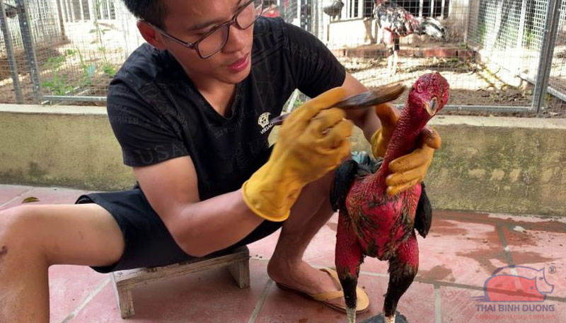 Chế Độ Dinh Dưỡng Chuyên Biệt