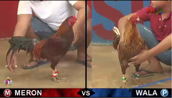 Hệ Thống Sân Đấu CPC Chi Tiết