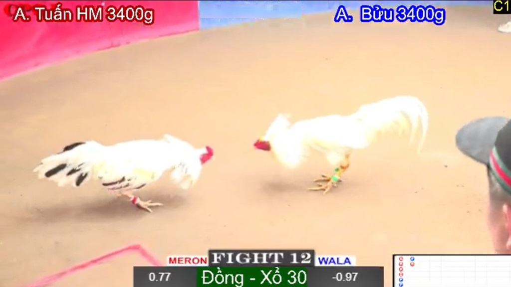 Thời Điểm Tốt Nhất Để Tham Gia