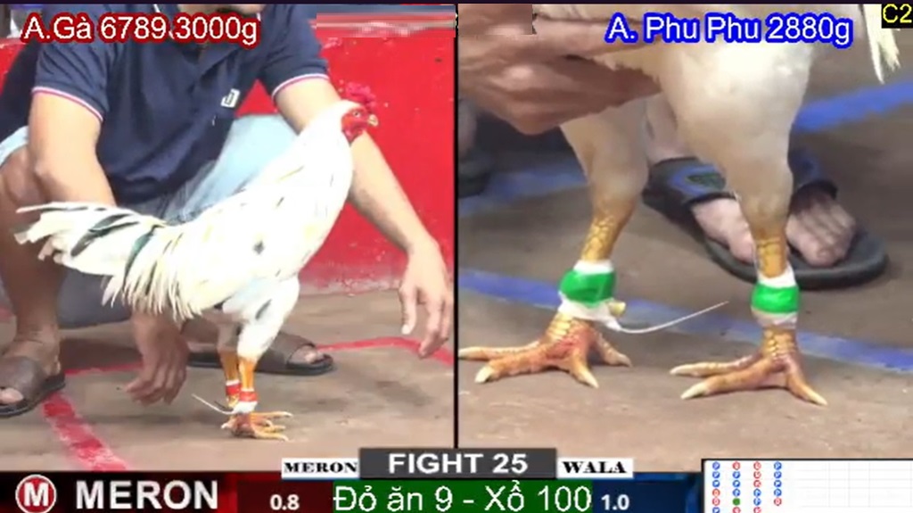 Lưu Ý Quan Trọng Khi Tham Gia